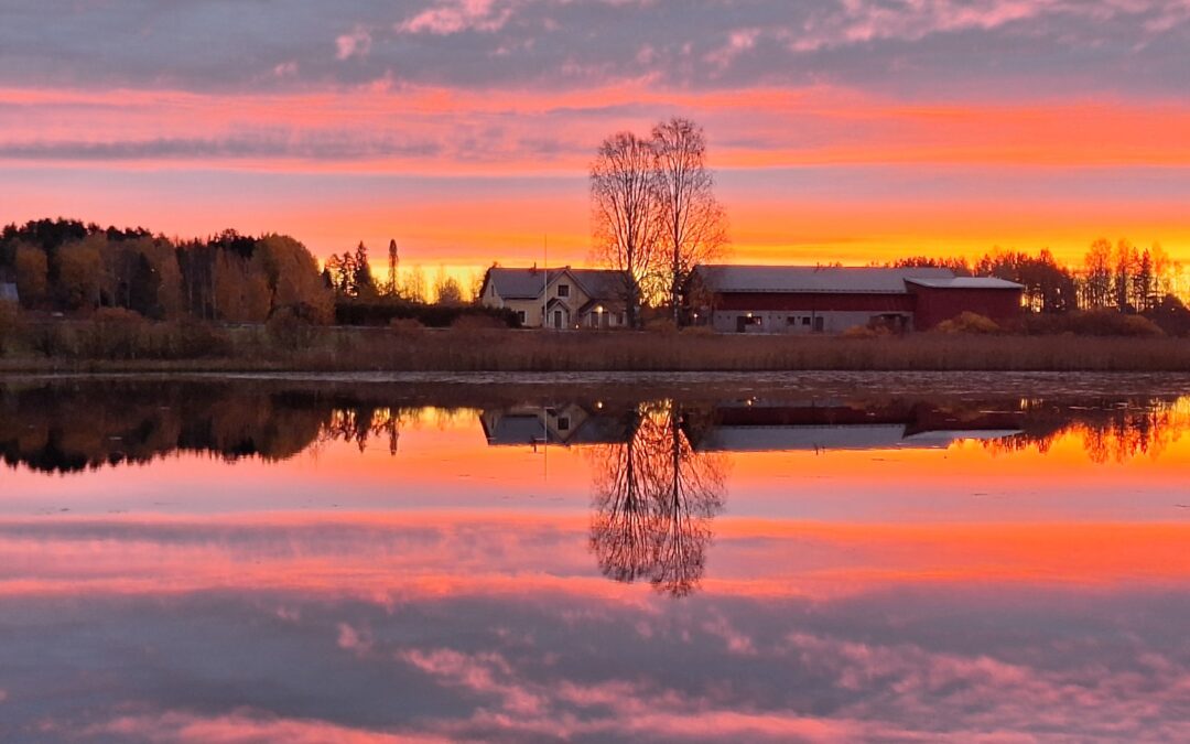 Puoli vuotta jäppiläläisenä