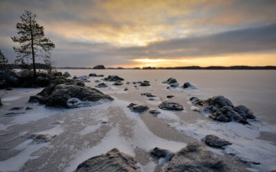 Oppeja elämään Jäppilästä ja maailmalta